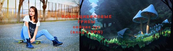 молекула духа Богородск