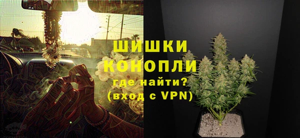 стаф Богородицк