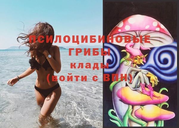 молекула духа Богородск
