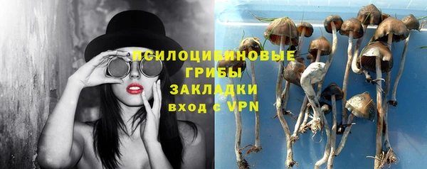 молекула духа Богородск