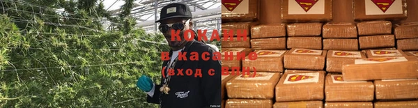 молекула духа Богородск