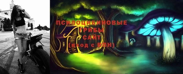 стаф Богородицк