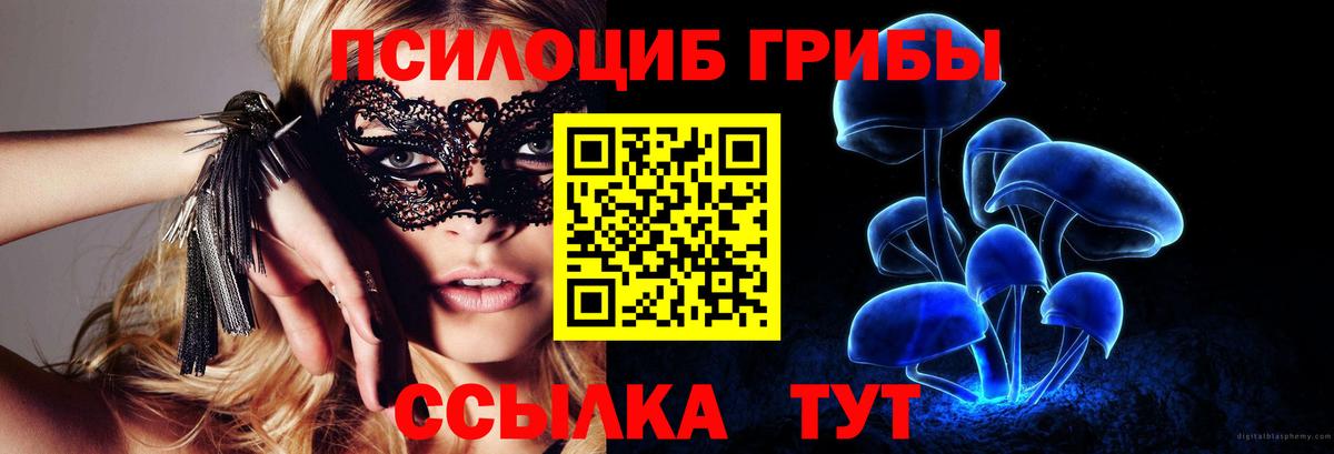 Галлюциногенные грибы мицелий Дагестанские Огни